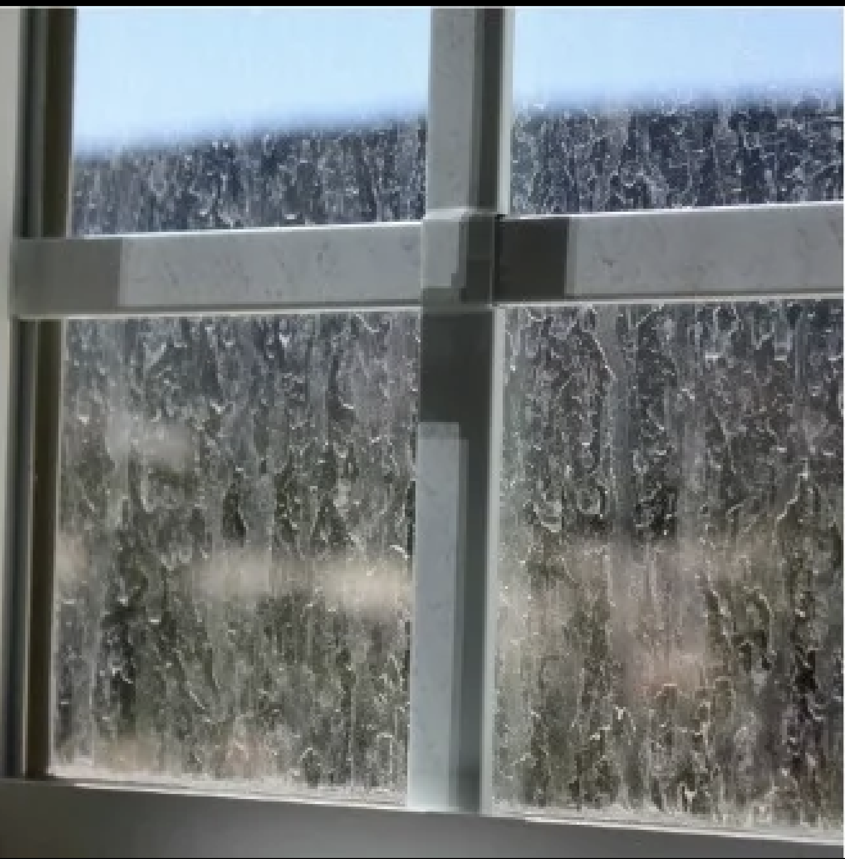 Before window cleaning showing dirty exterior glass